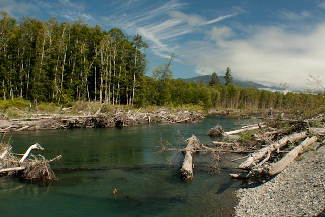 Upper Quinault.