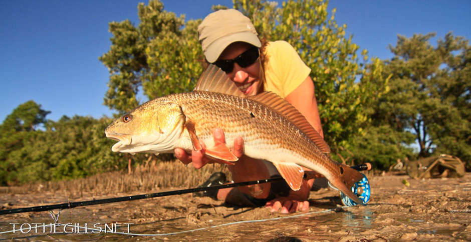 Redfish.